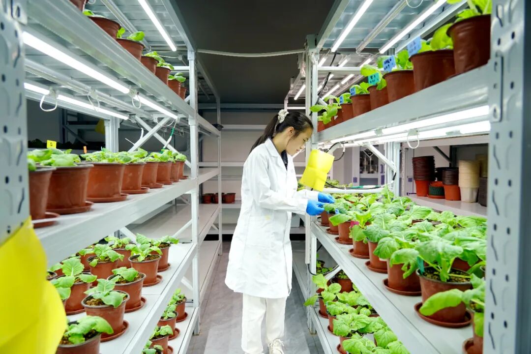 港北區 循環產業鏈賦能，打造有機無機‘糖蜜肥’生物有機肥新篇章