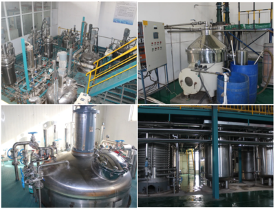 根力多生物科技新突破 年產五萬噸微生物菌劑及五千噸氨基酸水溶肥項目成功試車，引領生物有機肥料研發新浪潮